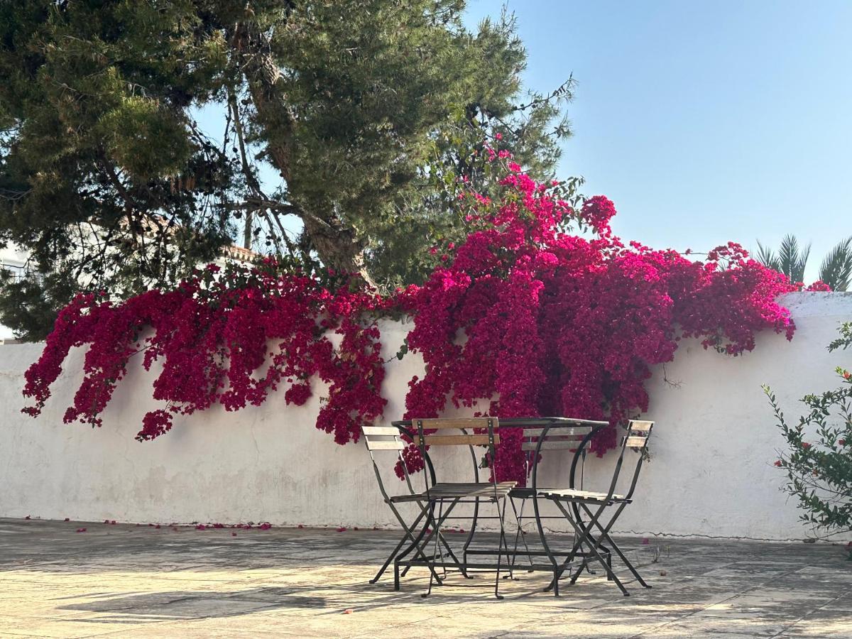 Two Olive Trees Guest House Spetses Town ภายนอก รูปภาพ